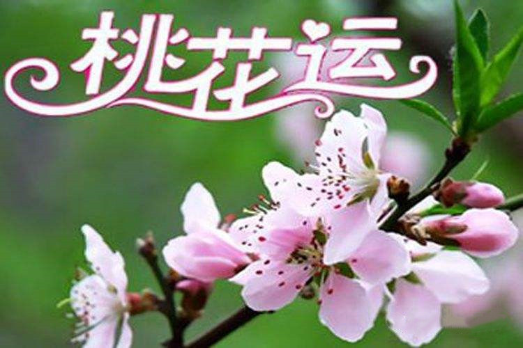 风水堂：八字桃花运的影响因素