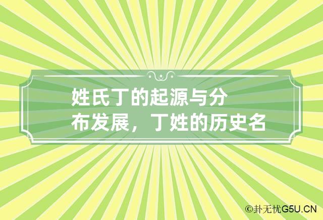 姓氏丁的起源与分布发展，丁姓的历史名人及成就简介