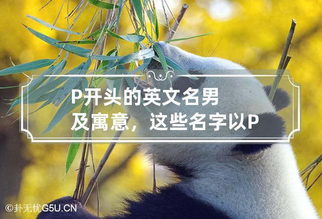 P开头的英文名男及寓意，这些名字以P开头