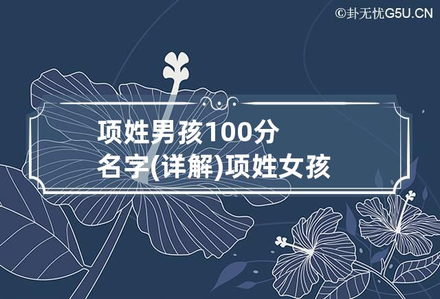 项姓男孩100分名字,详解 项姓女孩名