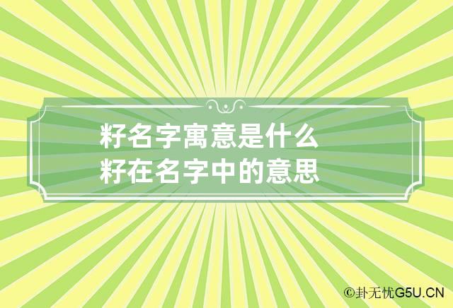 籽名字寓意是什么 籽在名字中的意思