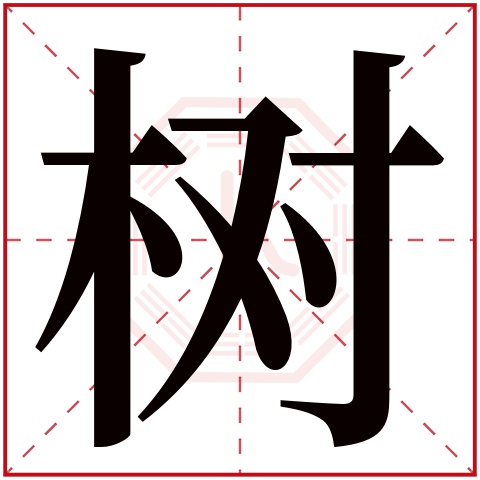 树字五行属什么,树字在名字里的含义,树字起名的寓意