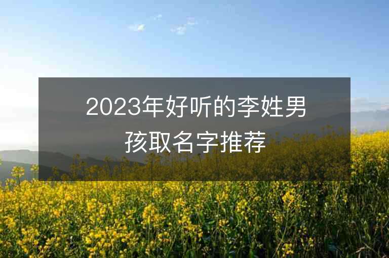 2023年好听的李姓男孩取名字推荐