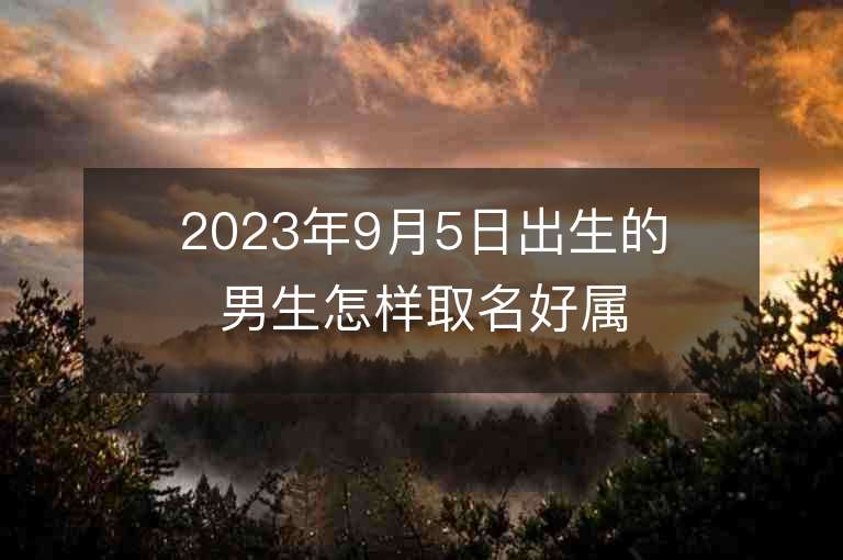 2023年9月5日出生的男生怎样取名好属兔男孩子优选学名集锦