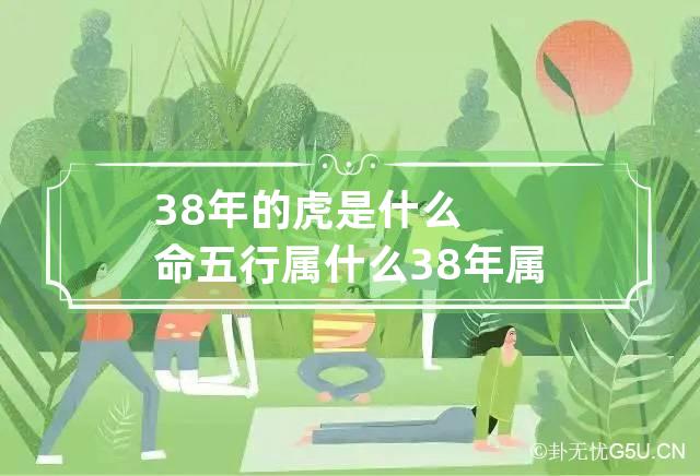 38年的虎是什么命五行属什么 38年属性是什么