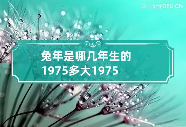 兔年是哪几年生的1975多大 1975属兔的年份及年龄