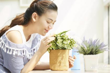 女命有勾绞煞旺夫